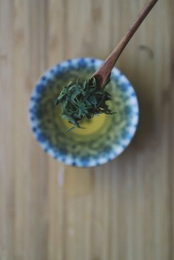Il tè della domenica Lushan Yunwu, tè verde cinese